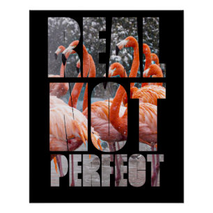 Echt niet Perfecte Citaat Flamingo Tropical Birds Perfect Poster