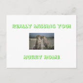 Echt niet! Schiet op! Briefkaart (Voorkant)