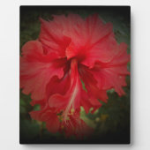 Echt rood fotoplaat (Voorkant)