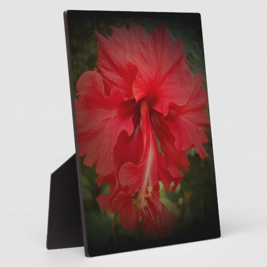 Echt rood fotoplaat (Zijkant)