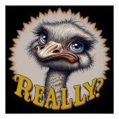 Echt struisvogelglanzend Poster (Voorkant)