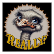 Echt struisvogelglanzend Poster