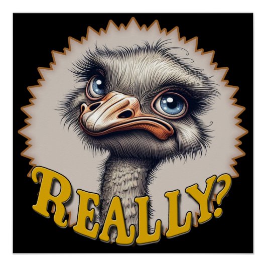 Echt struisvogelglanzend Poster (Voorkant)