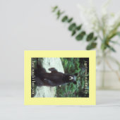 echt verrast briefkaart (Staand voorkant)