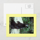 echt verrast briefkaart (Voorkant / Achterkant)