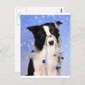 Echt waar? briefkaart (Voorkant / Achterkant)