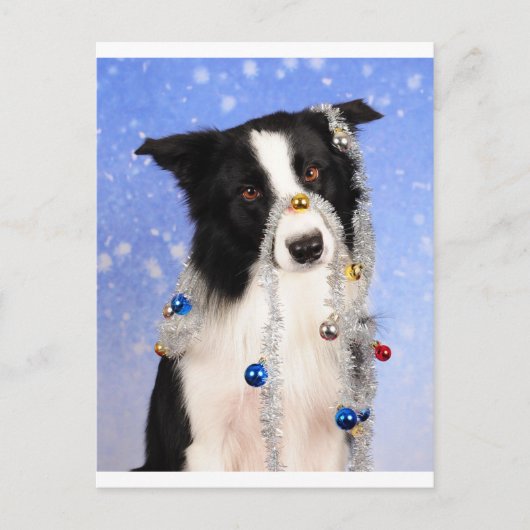 Echt waar? briefkaart (Voorkant)