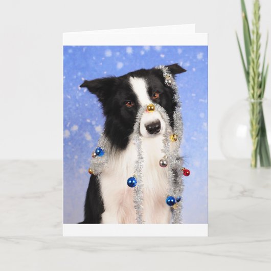 Echt waar? feestdagen kaart (Voorkant)