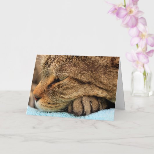 Echt waar je kat mist kaart (Orchidee)