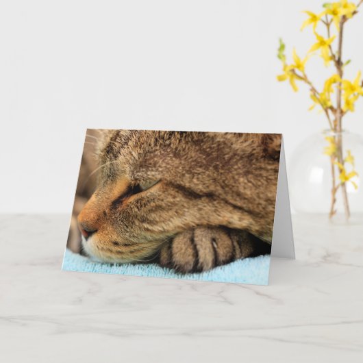 Echt waar je kat mist kaart (Gele Bloem)