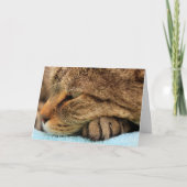 Echt waar je kat mist kaart (Voorkant)