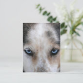 Echtblauwe ogen briefkaart (Staand voorkant)