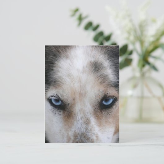 Echtblauwe ogen briefkaart (Staand voorkant)