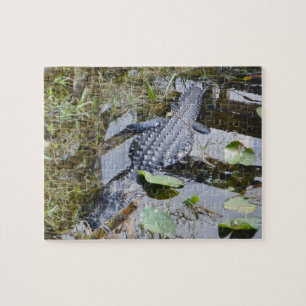 Echte alligatorpuzzel voor de jongere set! legpuzzel