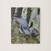 Echte alligatorpuzzel voor de jongere set! legpuzzel (Verticaal)