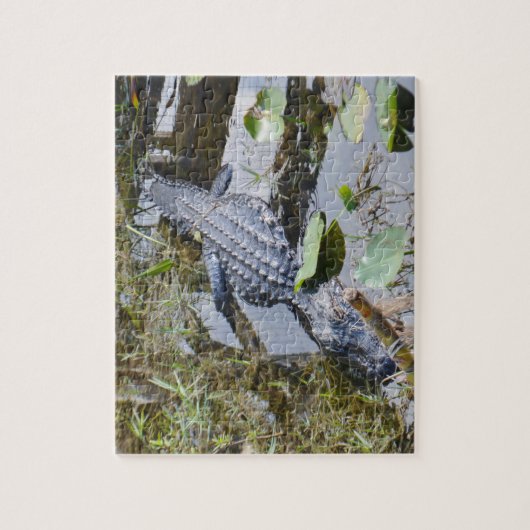Echte alligatorpuzzel voor de jongere set! legpuzzel (Verticaal)