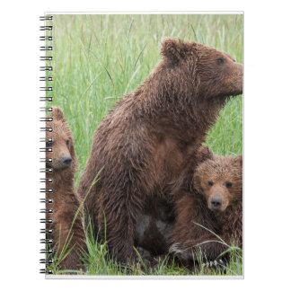 Echte Beer Gifts, Grizzly Beer, Grizzly Beer Journ Notitieboek