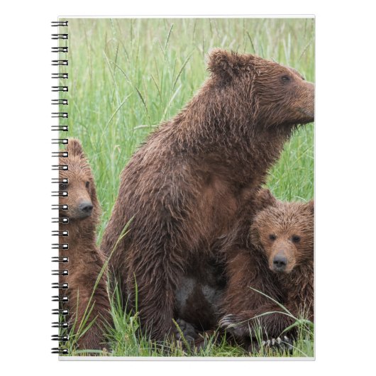 Echte Beer Gifts, Grizzly Beer, Grizzly Beer Journ Notitieboek (Voorkant)