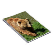 Echte Beer Gifts, Grizzly Beer, Grizzly Beer Journ Notitieboek (Rechterzijde)