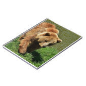 Echte Beer Gifts, Grizzly Beer, Grizzly Beer Journ Notitieboek (Linkerzijde)