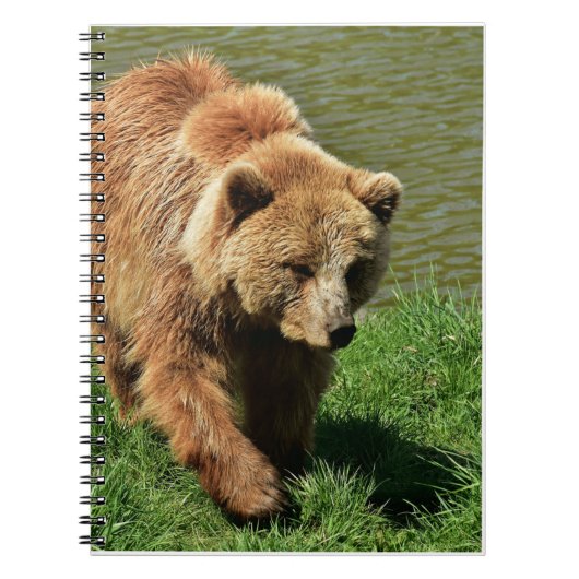 Echte Beer Gifts, Grizzly Beer, Grizzly Beer Journ Notitieboek (Voorkant)