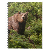 Echte Beer Gifts, Grizzly Beer, Grizzly Beer Journ Notitieboek (Voorkant)