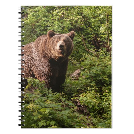 Echte Beer Gifts, Grizzly Beer, Grizzly Beer Journ Notitieboek (Voorkant)
