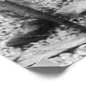 Echte Big Fish, begin jaren 1900 Poster (Hoek)