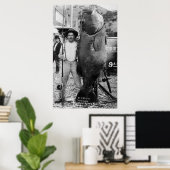 Echte Big Fish, begin jaren 1900 Poster (Thuiskantoor)