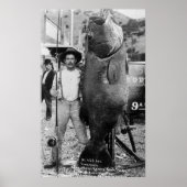 Echte Big Fish, begin jaren 1900 Poster (Voorkant)