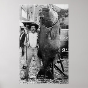 Echte Big Fish, begin jaren 1900 Poster