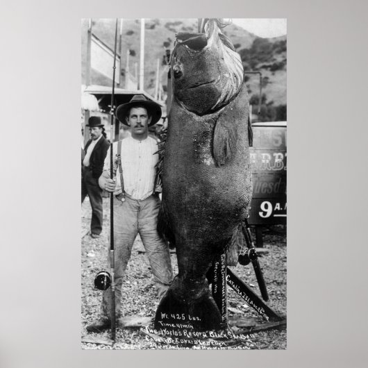 Echte Big Fish, begin jaren 1900 Poster (Voorkant)