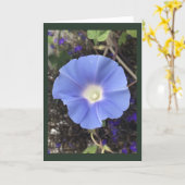 Echte Blauwe Morgen Glorie Kaart (Gele Bloem)