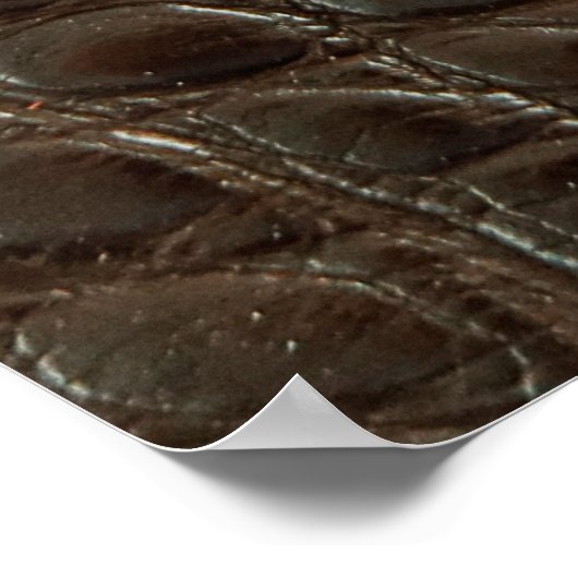 Echte bruine alligatorleder dicht bij show poster (Hoek)