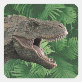 Echte dinosaurus T-Rex Vierkante Sticker