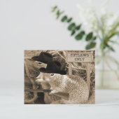 Echte eekhoorns in het oude westen briefkaart (Staand voorkant)