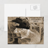 Echte eekhoorns in het oude westen briefkaart (Voorkant / Achterkant)