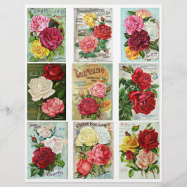 Echte  Flower Seed Catalog Hoesjes