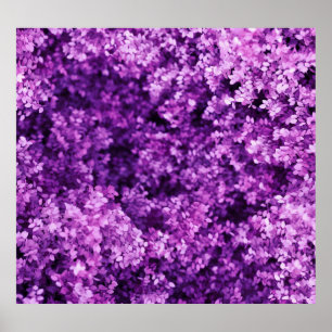 Echte gebreide stof, gestructureerde achtergrond. poster