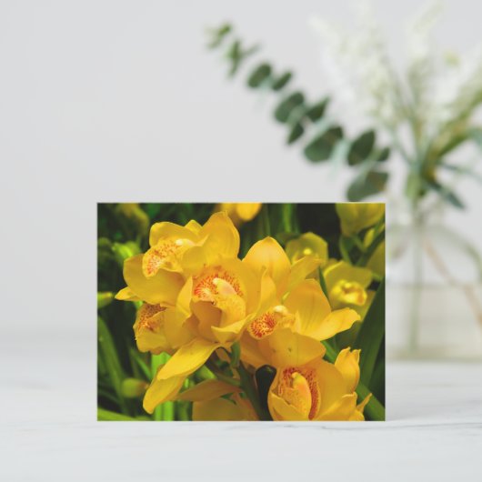 Echte gele bloem briefkaart (Staand voorkant)