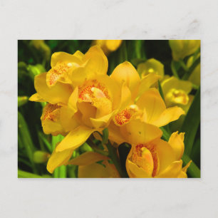 Echte gele bloem briefkaart