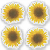 Echte gele zonnebloem afbeelding 4x set sticker (Voorkant)