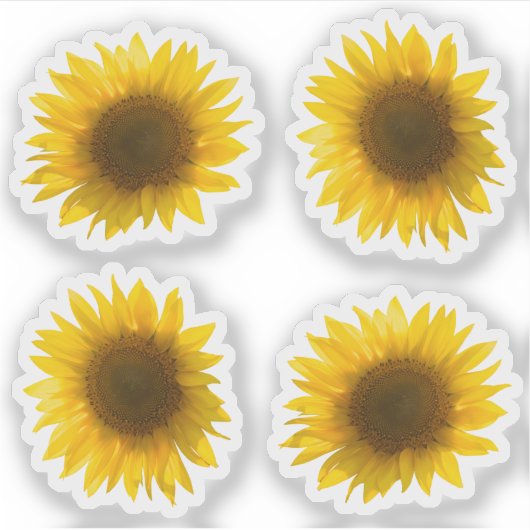 Echte gele zonnebloem afbeelding 4x set sticker (Voorkant)