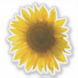 Echte gele zonnebloem afbeelding sticker