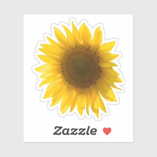 Echte gele zonnebloempitten afbeelding sticker (Vel)