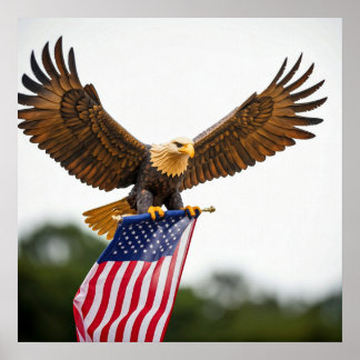 ECHTE KALE ADELAAR VLIEGEN MET AMERIKAANSE VLAG POSTER