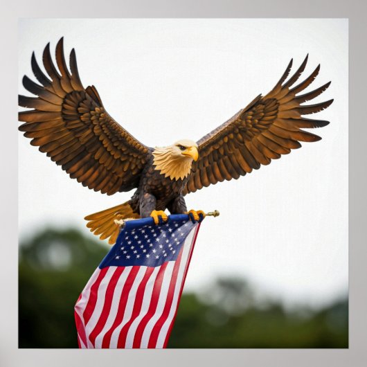 ECHTE KALE ADELAAR VLIEGEN MET AMERIKAANSE VLAG POSTER (Voorkant)