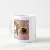 Echte kat, nepcat  koffiemok (Voorkant links)