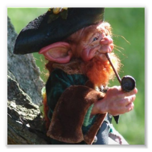 echte leprechaun foto afdruk (Voorkant)
