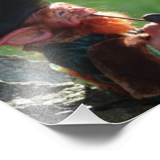 echte leprechaun foto afdruk (Hoek)